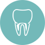 Endodontia